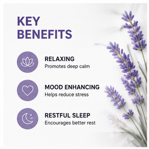 Olio Essenziale di Muschio Botanico con Aroma Delicato e Lenitivo; Ideale per Rinfrescare l'Aria Interna e per la Cura del Benessere Personale - Product Image 4