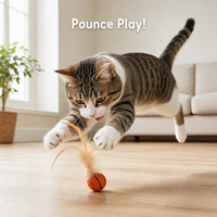 Balle de jeu interactive pour animaux de compagnie en caoutchouc plumeux, forme de ballon de football, de baseball ou de basketball, pour le jeu en intérieur