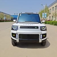 Vente flash Nouveau Véhicule électrique multifonctionnel pas cher à 4 roues 350*150*168cm 2000W Roues en aluminium pour les personnes âgées Famille Utilisation quotidienne