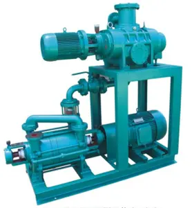 Electric Vacuum Pumps Various Industries-Paper Making Pharmaceutical Food Chemical Fiber Metallurgy Roots Water Ring Pump