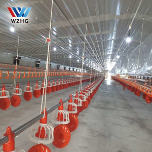 Ánh Sáng Khung Thép Công Nghiệp Đúc Sẵn Gà Nuôi Gia Cầm Trang Trại Ánh Sáng Ngôi Nhà Kết Cấu Thép Xây Dựng - Product Image 6