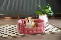 Bequemes Gestepptes Samt-Luxus-Hundebett mit Gemütlichem, Abnehmbarem Kissen