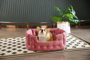 Confortável Tufted Velvet Luxury Dog Bed Cozy Dog Cushion Removível Bed