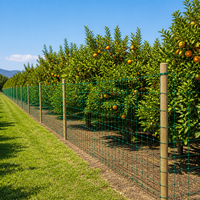 Filet de protection agricole anti-âge en polyéthylène noué, haute résistance, stabilisé aux UV, pour serres agricoles