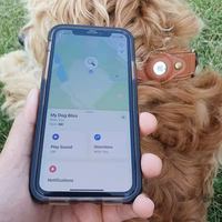 Accessoires pour animaux de compagnie Trouver mon emplacement de suivi intelligent Collier pour animaux de compagnie Chien Chat Collier de suivi GPS