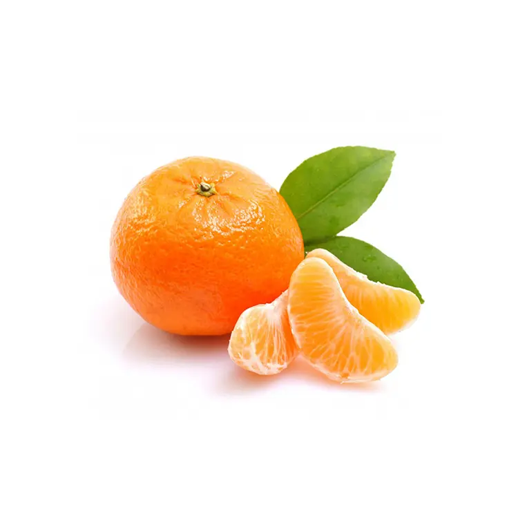 Fresh Style Citrus Fruit Product Cheap Price Fresh Mandarin Orange Honey Mandarin For Sale