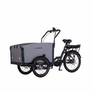 Cargo Bike Tricycle Electric Cargo Bike With Alloy Frame Middle Motor Cargo Tricycle With Rain Cover EU Warehouse Europe Stock