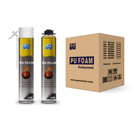 Mousse PU ignifuge GNS B1, mousse polyuréthane ignifuge de qualité B1 pour l'étanchéité et l'isolation incendie des bâtiments