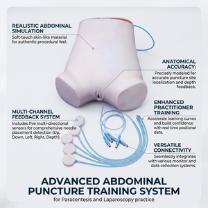 Modèle d'entraînement à la paracentèse abdominale pour les laboratoires de compétences des écoles de médecine, les hôpitaux, les services de gastro-entérologie et la pratique clinique CE/ISO - Product Image 1