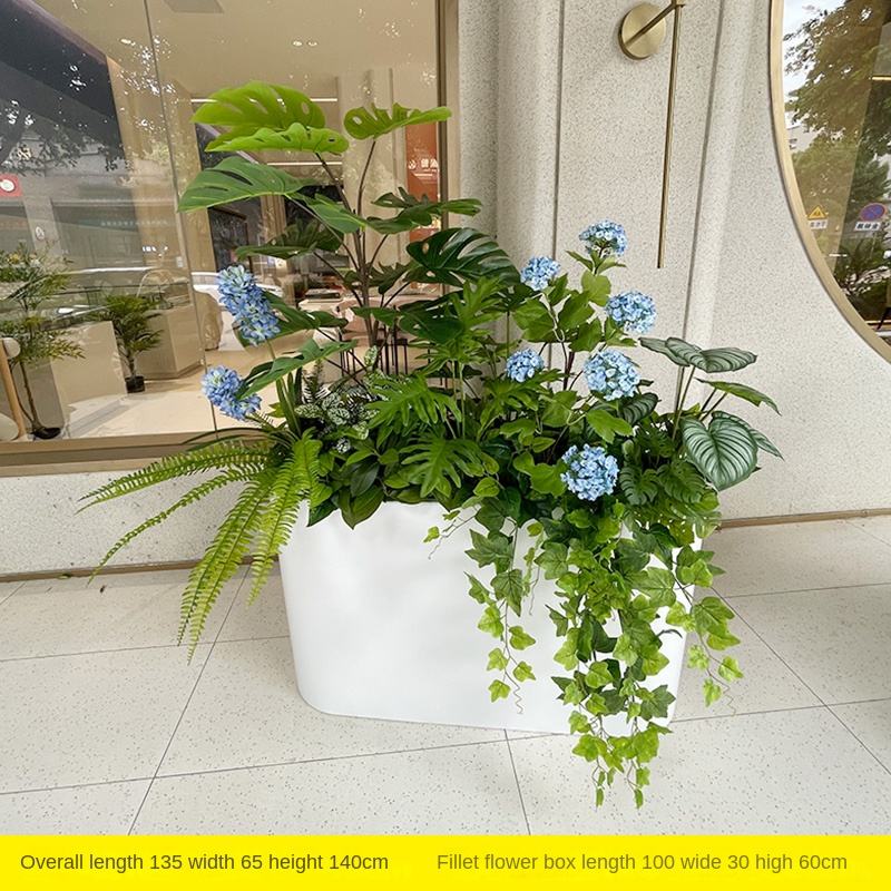 Dos de l'hortensia bleu tortue (hors boîte à fleurs)