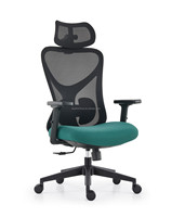 LAIAN Chaise de bureau ergonomique Accoudoir 3D Appui-tête réglable Soutien lombaire réglable Chaise de personnel Dossier en maille