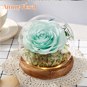 AM-PFA50 fiore Ammy conservato ha rifinito la copertura di vetro del fiore di san valentino regalo creativo della scatola regalo della decorazione di nozze - Product Image 3