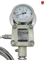Explosion-Proof Temperature Gauge with Flameproof Junction Box for Coal Mine Conveyor Pump Water Tank