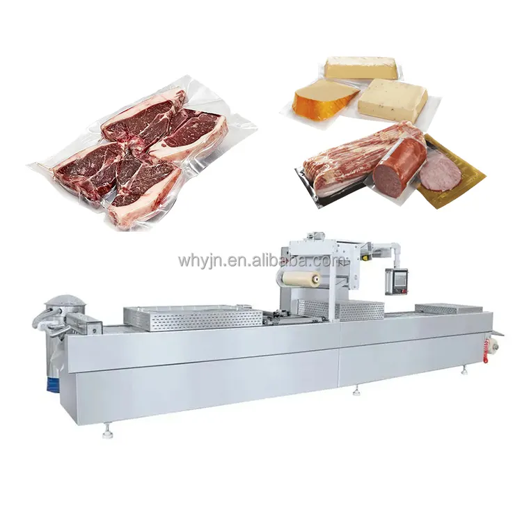 Mesin Thermoforming daging babi sapi, mesin pembentuk vakum daging, mesin pengemasan vakum pembentukan termal modis