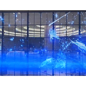 Transparent Glass Window Sticky Flexible LED Panel <b>Film</b> Crystal Screen Display Transparent LED <b>Film</b> Screen - Product Image 1