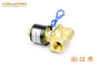 Vanne Solénoïde 2/2 Voies 2W200 Corps en Laiton G1/4 Normalement Fermée/Ouverte 12V 24V 220V AC DC pour Eau, Huile, Air