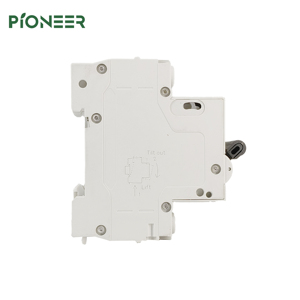 2 Pole Miniature <strong>Circuit</strong> <strong>Breaker</strong> AC <strong>Type</strong> 220V/230V/240V Micro <strong>Circuit</strong> <strong>Breaker</strong> Plastic 6/10/16/20/25/32/40/50/63A Price - Product Image 4