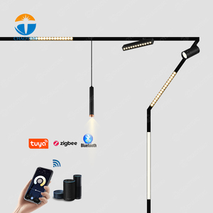 <span class=keywords><strong>Les</strong></span> Produits <span class=keywords><strong>les</strong></span> plus Vendus Dans Le <span class=keywords><strong>Monde</strong></span> 360 Degrés Linéaire Rail Magnétique Pour Piste Aimant de Voie de L'épi Led lumière - Product Image 3
