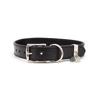 Collier de chien lumineux personnalisé en nylon PVC Matériau en cuir PU Logo Air Tag Holder Collier mignon pour animaux de compagnie pour chiens et chats