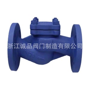 Válvula de Retención de Brida Tipo Elevador H41H-16 con Estructura de Fuelle en Acero Fundido o Acero Inoxidable para Medios de Aceite, Agua y Gas - Product Image 1