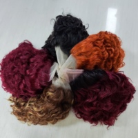 Letsfly Perruque Courte Elfe Pas Chère 13x1 Lace Front T-Part Coupe Elfe Cheveux Humains Bob 180% Densité Perruque Cheveux Bouclés Elfe