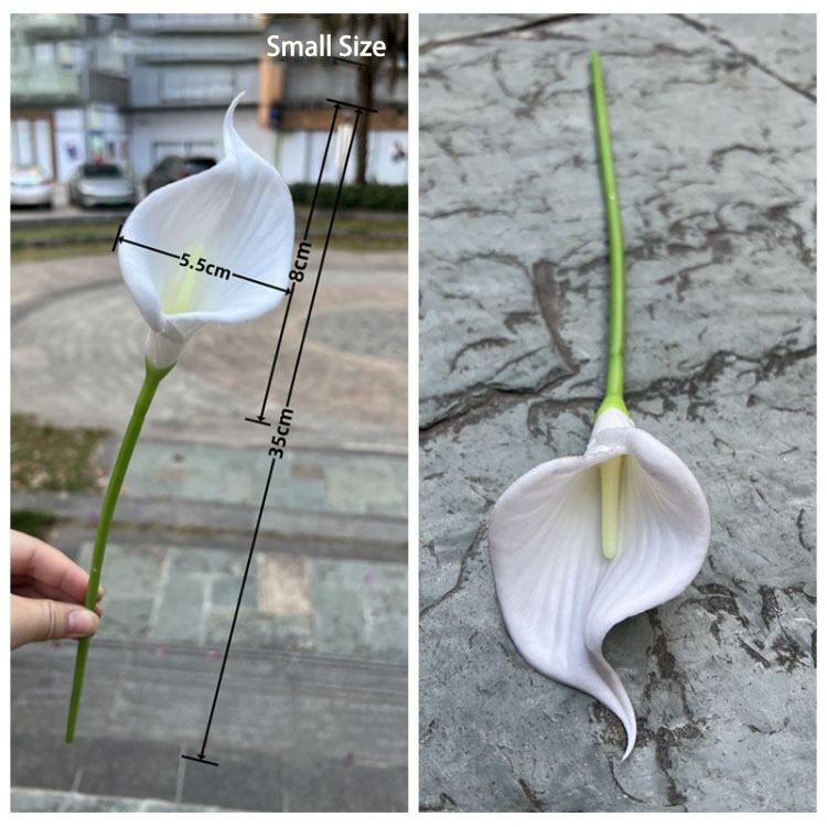 3 # tamaño pequeño