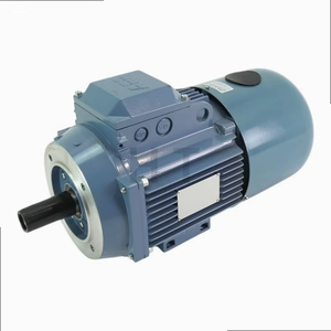 Moteur asynchrone triphasé M3ARS100 LB-4 3kW 1430 tr/min IP55 pour applications de commande industrielle - Product Image 2