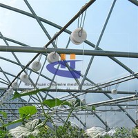 Nouveau crochet de serre en fil d'acier galvanisé à chaud pour tomates, concombres, vignes, piments et légumes, pour la fixation et la réduction de hauteur