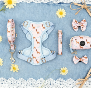 Conjunto de Coleira para Gato e Cachorro Colete Bonito à Prova de Fuga para Caminhadas Confortável Ajustável com Guia e Refletivo para Atividades ao Ar Livre - Product Image 4