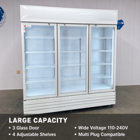 Refroidisseur de boissons à refroidissement direct, porte vitrée verticale, 300L, éclairage LED économe en énergie, étagère réglable, écologique, pour restaurant
