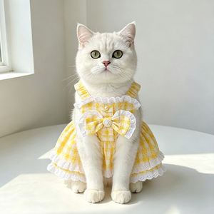 Robe en dentelle pour animaux de compagnie, motif marguerite printemps-été, pour chats et chiens, Yorkshire, Bichon, Golden Shaded - Product Image 2