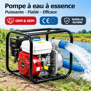 Bomba de Agua de Alta Presión CE OEM, Potente y de Larga Duración, Utilizada para Riego a Gran Escala en Jardines, Directo de Fábrica, 2 Pulgadas, 7.5HP - Product Image 1