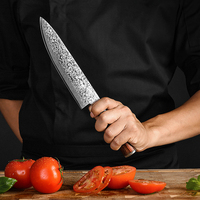 Ensemble de couteaux de cuisine japonais haut de gamme, 67 couches d'acier Damas, Santoku, couteau à désosser, Kiritsuke, couteau à découper, couteau de chef, couteau utilitaire