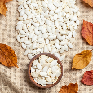 Graines de citrouille naturelles brutes, propres et bien triées, vente en gros en vrac pour la pâtisserie, les mélanges de snacks et l'alimentation saine quotidienne - Product Image 1