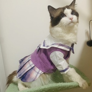 Pet <b>Cats</b> Jk Princess Dress Plaid Acrylic Fiber Cute Skirt Spring Autumn Small Pet <b>Clothes</b> - Product Image 2