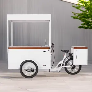 Food Bike Eiswagen Kleinwagen niedriger Preis 500 W hintennabenmotor Gefrierschrank Verkaufswagen mobiler Eiswagen zu verkaufen