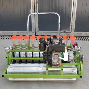 بذور الجسيمات الصغيرة الدقيقة الدقيقة لزراعة بذور الكرنب والفجل والخضراوات - Product Image 4