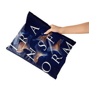 Ziplock Poly Mailer Luxury Clothing Custom Eco Matte Recyclable Cheap Personalized Manufacturing Machine - Product Image 1