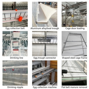<span class=keywords><strong>Cage</strong></span> d'élevage de volailles de type 3 à 96 niveaux pour 96 oiseaux - Product Image 3