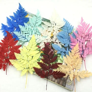Fiori Secchi e <span class=keywords><strong>Felce</strong></span> in Pelle Preservata Best Seller per Decorazioni Domestiche per la Celebrazione del Capodanno Cinese - Product Image 6