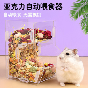 Comedero transparente de acrílico para hámster, contenedor de almacenamiento de alimentos de gran capacidad con diseño floral, cuenco de plástico para mascotas con forma cuadrada - Product Image 4