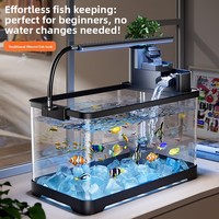 Nouvel Aquarium 2026 pour Salon et Bureau : Éclairage Économe en Énergie, Filtration Automatique, Aménagement Paysager