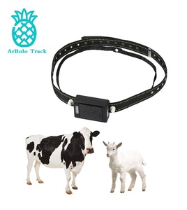 cow tracker with solar collar