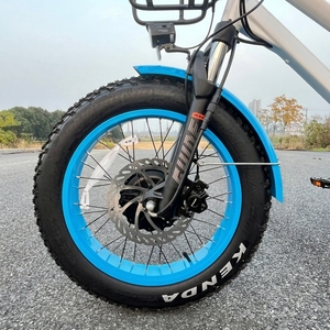 Vélo électrique à pneus larges 48V avec double batterie au lithium, double moteur, longue autonomie, homologué ODM Chine, avec sièges pour bébé - Product Image 3