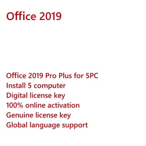 オンラインAli Chat Ms 2019 Professional Plus Key 5PCPP本物の小売ライセンスコード100% オンラインアクティベーションライフタイムバインドされていません