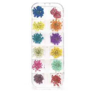 Adesivo de unhas com flores secas de renda grande caixa com 12 cores acessórios para unhas glitter produto de arte de unhas