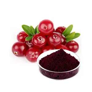 Premium Bilberry Extract Powder Blueberry Extract Powder Anthocyanins 25%