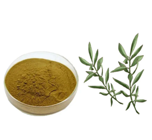 Lagerbestand 10%-80% Oleuropein-Reiches Olivenblatt-Extrakt-Pulver Pflanzenextrakt von Höchster Qualität - Product Image 4