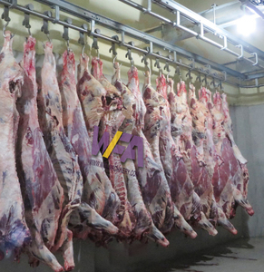 Machine d'abattage de bétail halal personnalisée de petite taille, ligne d'abattage de 30 bovins, équipement de <span class=keywords><strong>boucherie</strong></span> de bœuf - Product Image 6