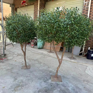 Árbol de Olivo Artificial de 3.6 m con Tronco de Madera Real, Resistente a los Rayos UV, Ecológico, para Decoración de Hogares, Jardines, Restaurantes y Hoteles - Product Image 4